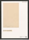 Diatomeae indet. Zeichnungen Sammlung Grunow (NHMW-BOT-W0371486)